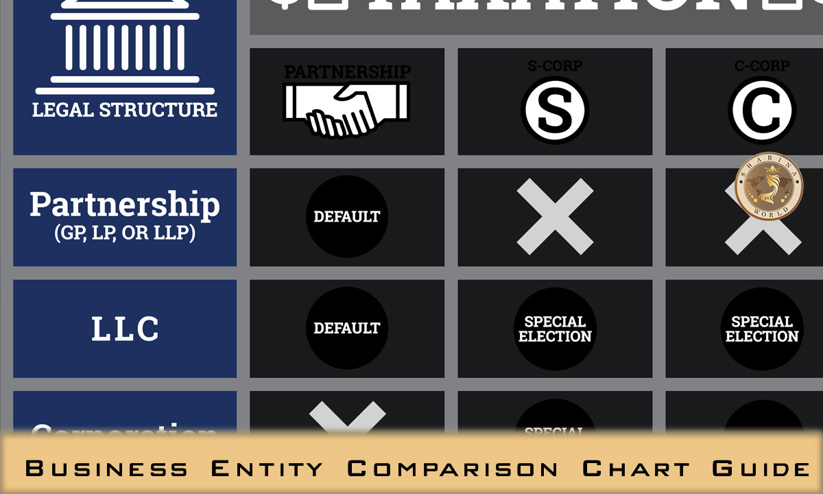 Business Entity Comparison Chart Guide 2021 | Best Guide - CPA Clinics