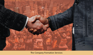 The Company Formation services