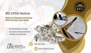 IRS CP501 Notice – Unpaid Tax Reminder | CPA Clinics
