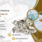 IRS CP503 Notice – Second Reminder for Unpaid Taxes | CPA Clinics