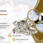 IRS LT17 Notice – Follow Up Collection Letter | CPA Clinics