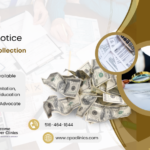 IRS LT17 Notice – Follow Up Collection Letter | CPA Clinics