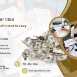 IRS LT11 / Letter 1058 – Final Notice of Intent to Levy | CPA Clinics