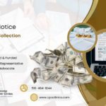 IRS LT18 Notice – Additional Collection Reminder | CPA Clinics