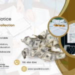 IRS LT18 Notice – Additional Collection Reminder | CPA Clinics